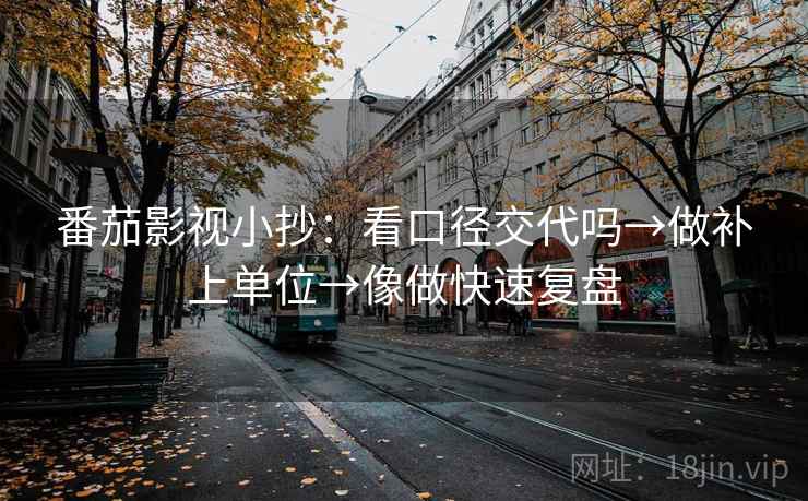 番茄影视小抄：看口径交代吗→做补上单位→像做快速复盘